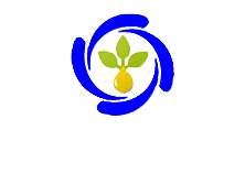 شرکت توسعه صنایع بهشهر